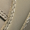Bone