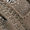 Taupe Multi