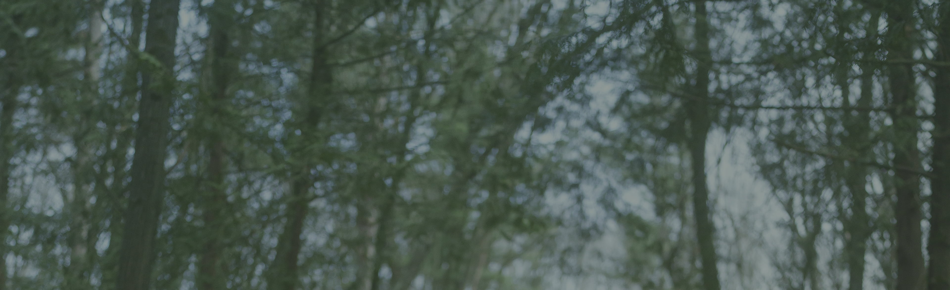 Shop up to 60% off select styles featuring green trees in the background.