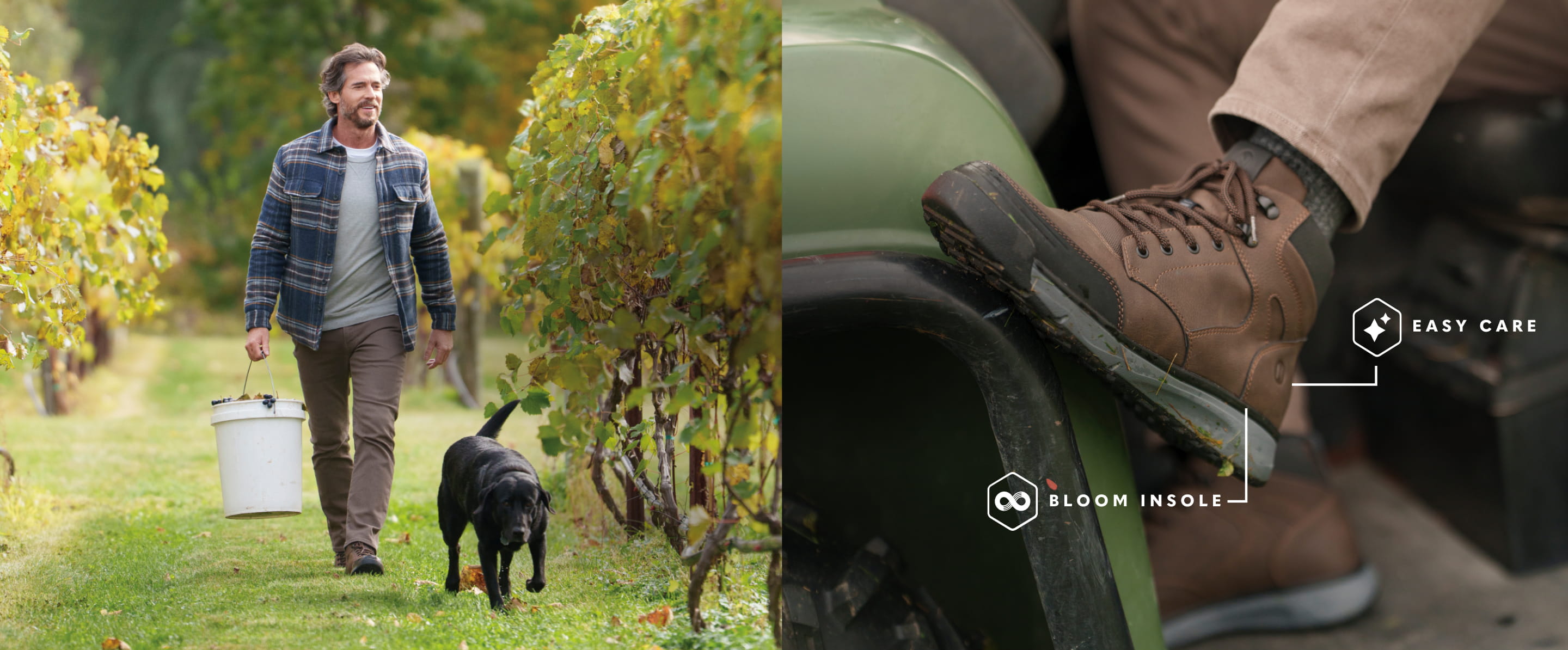 Shop Nunn Bush fall arrivals featuring a man walking through a vineyard with a dog.