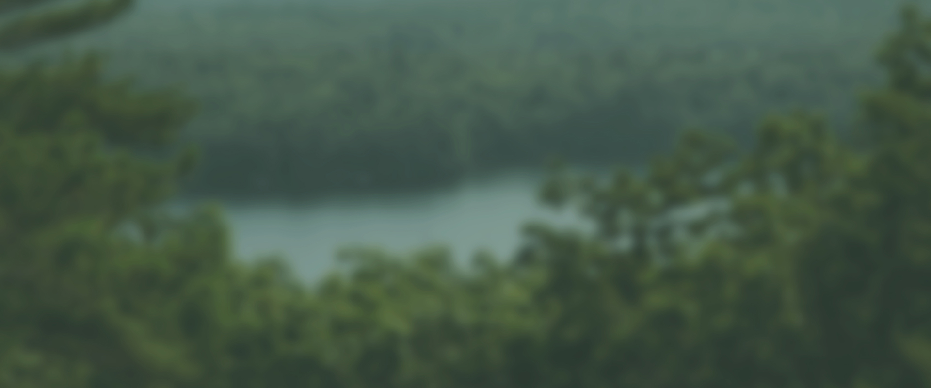 Shop our end of season sale with up to 65% off when you use your 25% off promo code. Image features a blurred nature background with white text.